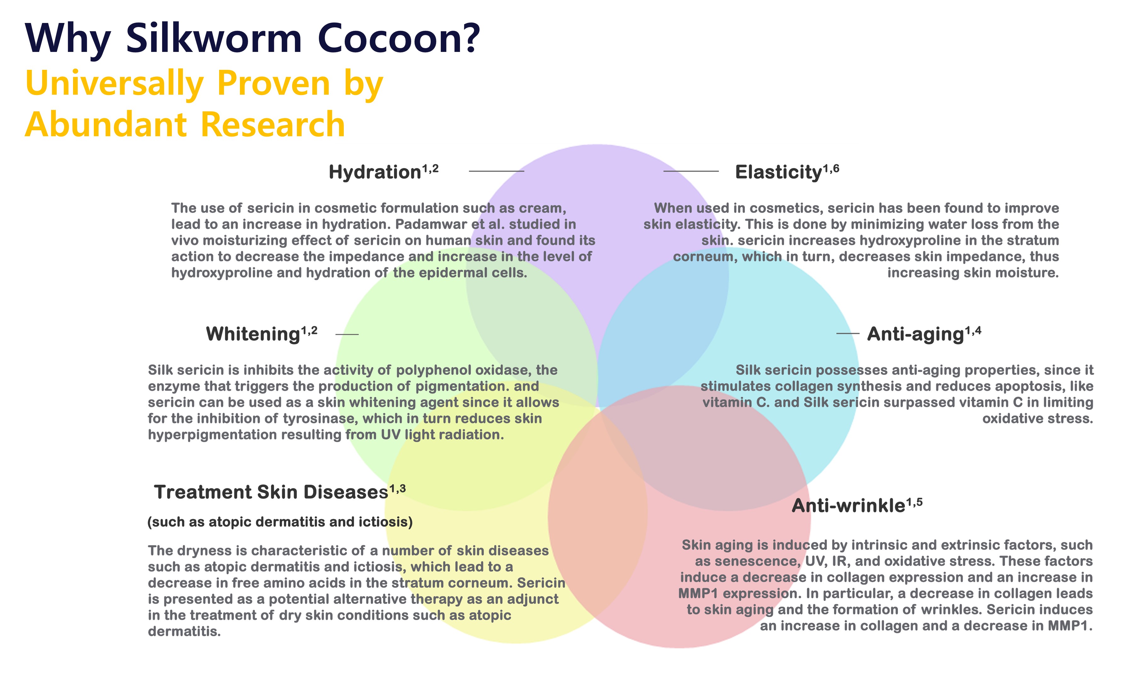 Diagram titled "Why Silkworm Cocoon?" showing six proven benefits in overlapping circles: Hydration, Whitening, Treatment Skin Diseases, Anti-wrinkle, Anti-aging, and Elasticity, each with a brief scientific explanation